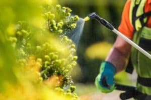 Aprende C&oacute;mo Usar Fertilizantes Org&aacute;nicos en tu Jard&iacute;n