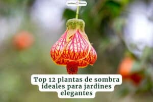 Plantas de sombra ideales para jardines de lujo y elegantes