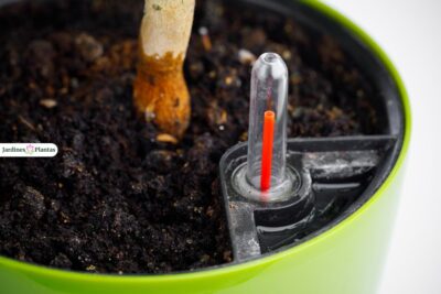 Macetas de autorriego para no preocuparte por tus plantas