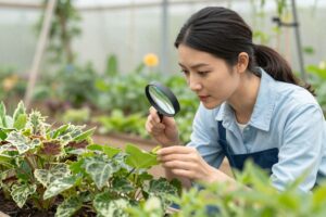 Diagn&oacute;stico de enfermedades en plantas de jard&iacute;n sin qu&iacute;micos agresivos