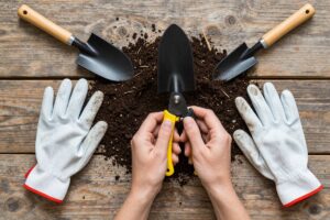 Herramientas esenciales para el cuidado diario de jardines en casa