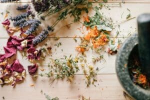 Plantas Medicinales F&aacute;ciles de Cultivar en Casa: Remedios Naturales