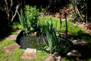 Microclimas en Jardines Peque&ntilde;os: C&oacute;mo Identificarlos y Aprovecharlos