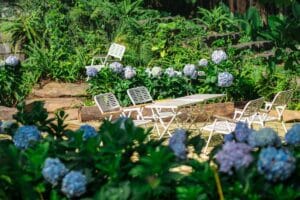 Imagen de Dise&ntilde;o de jardines con paleta de colores monocrom&aacute;tica