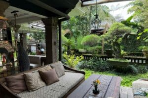 Plantas que reducen el ruido en terrazas urbanas
