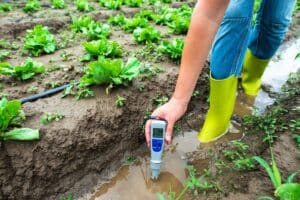 C&oacute;mo Medir y Ajustar el pH del Suelo para tus Plantas