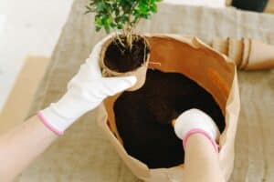 Gu&iacute;a de sustratos caseros con materiales reciclados