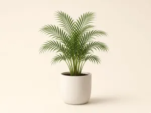 Palmera de salón